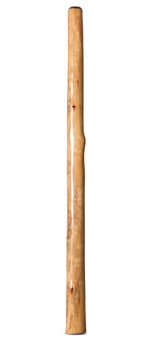 Natural Finish Larger Bore Didgeridoo (TW1784)